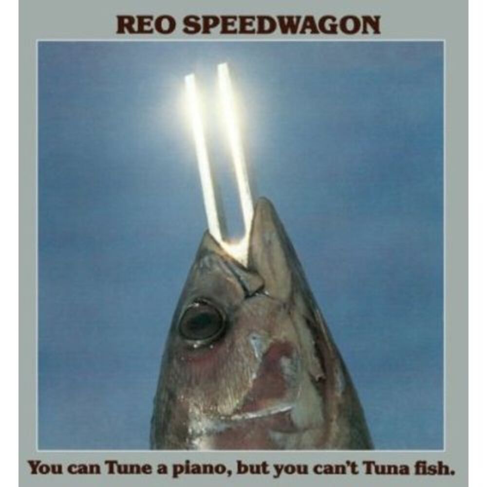 REO Speedwagon - You Can Tune a Piano But You Can't Tune a Fish  CD